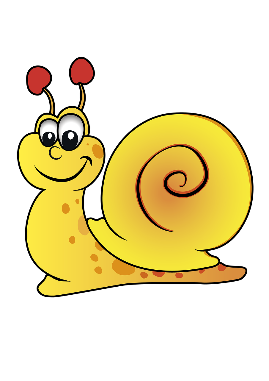 slug, snail, mollusk-5485837.jpg